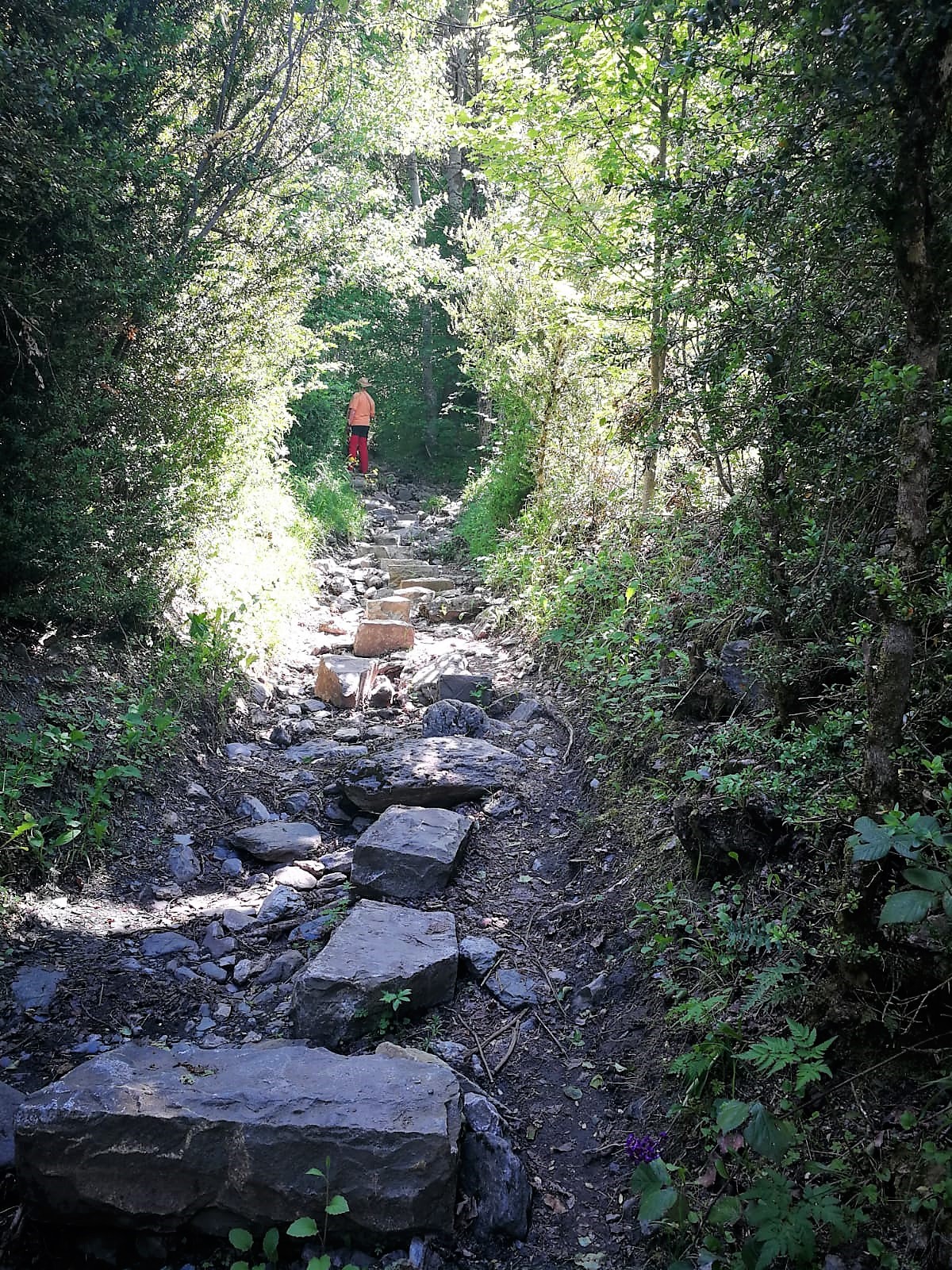 IMG-20210610-WA0000