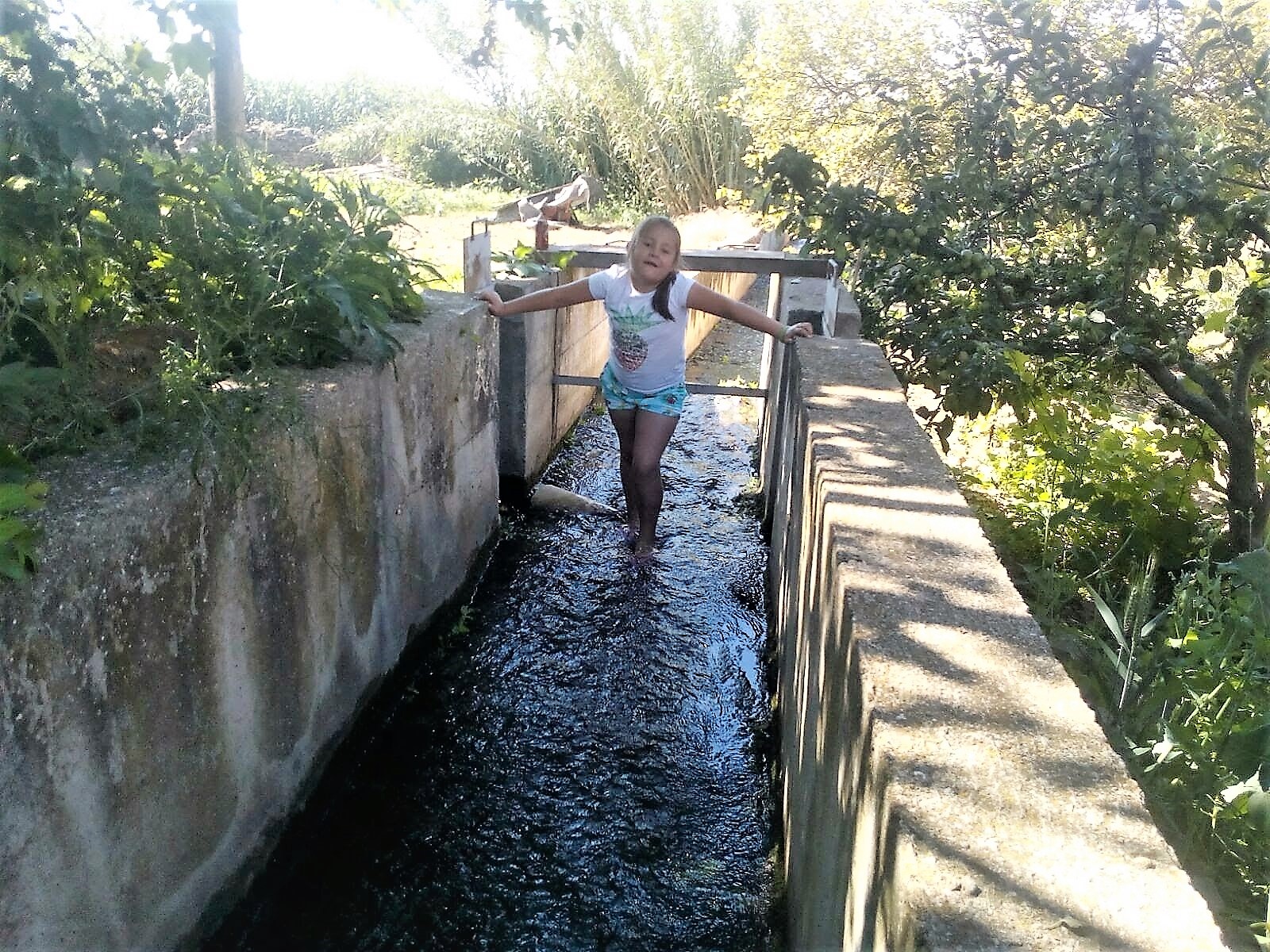 IMG-20210628-WA0002-1