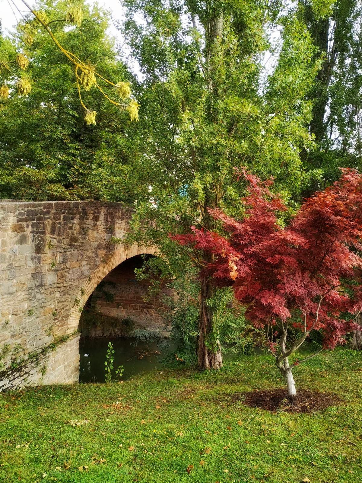 Puente Acella Landa sobre el Sadar