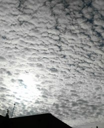 29952147044_078e84288d_b