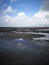 IMG-20210305-WA0001-1