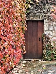 IMG-20221128-WA0003-1