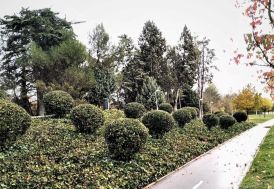 IMG-20221129-WA0002-1