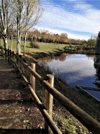 IMG-20221130-WA0005-1