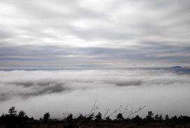 IMG-20221205-WA0003-1