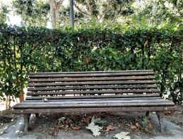 IMG-20200716-WA0003-1