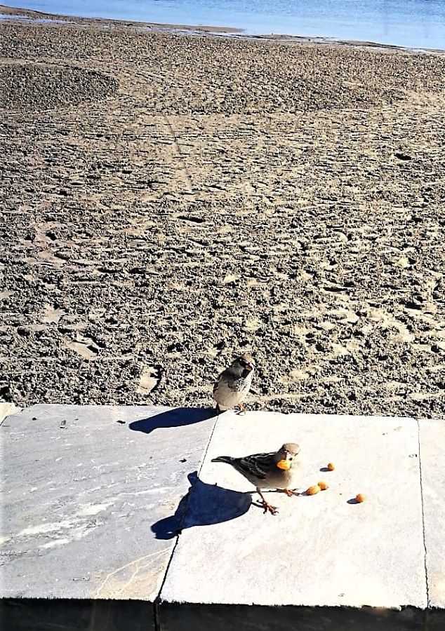 IMG-20221130-WA0000 -1