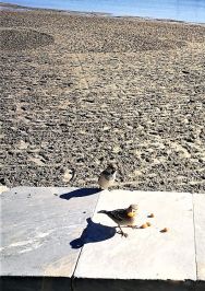 IMG-20221130-WA0000 -1