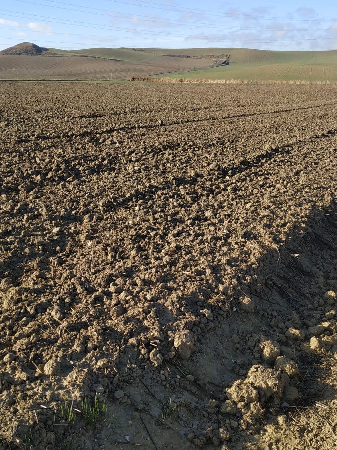 IMG-20221221-WA0004-1