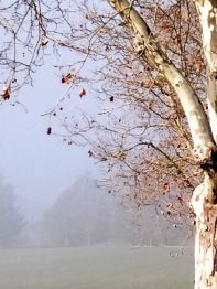 IMG-20230111-WA0002-2