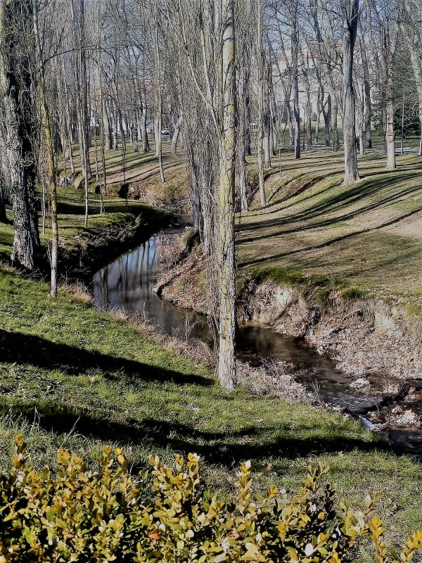 IMG-20230216-WA0006-1