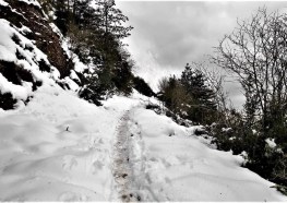 IMG-20230226-WA0001-1