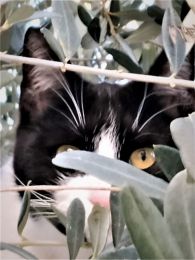 IMG-20230303-WA0013-1