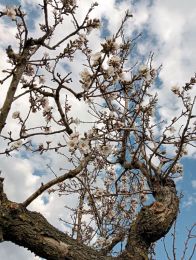 IMG-20230313-WA0002-1