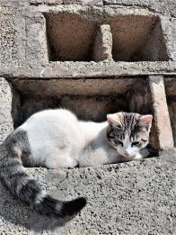 IMG-20230317-WA0005-1