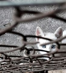 IMG-20220723-WA0002-1