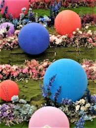 IMG-20230331-WA0005-1