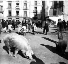 IMG-20211208-WA0016-A