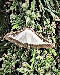 IMG-20230526-WA0001-A