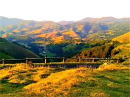 37258911381_bce6043b18_h-1