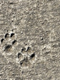 IMG-20221112-WA0007-1