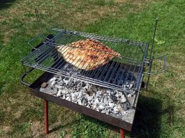 IMG-20220821-WA0001-1