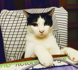 IMG-20230716-WA0001(1)(1)(1)a