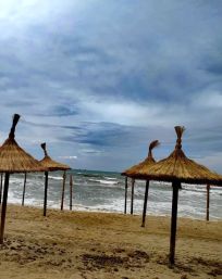 IMG-20240330-WA0010(1)1