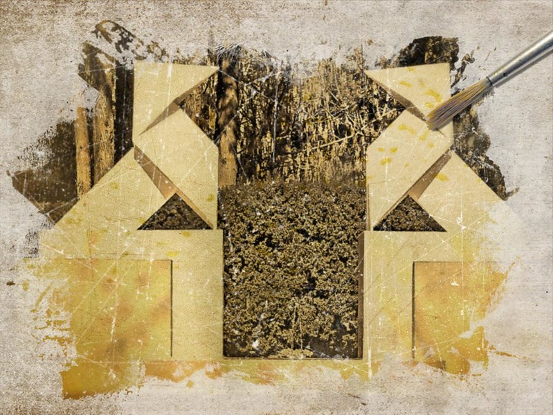 49063969246_6a819be0c4_c